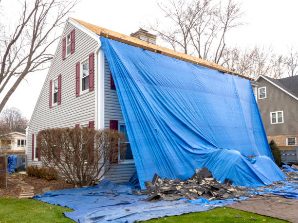 Best Hoarding Cleanup  in Lolo, MT